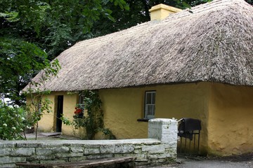 Thatched House