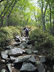 the mountain climbing