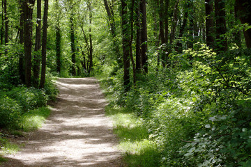 The uphill path