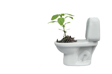 Sidev viiew of Small tree in a pot toilet seat shape on white background