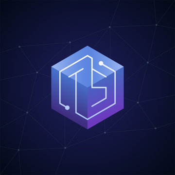 Initial letter TS, block chain, looping mono line circuit letter on hexagon cube logo, blue magenta gradient color on black blue network background
