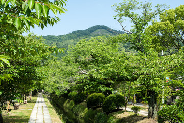 Fototapeta na wymiar 大文字山と新緑の疎水　銀閣寺道付近（京都・日本）
