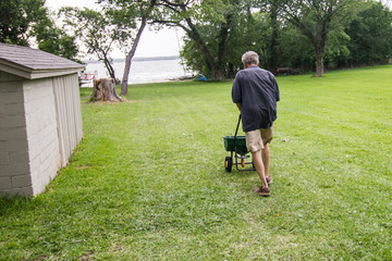 Man applying fertilizer to the lawn