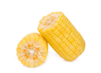 corn isolated on white background