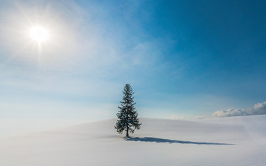 snow hill  at Biei ,Hokkaido