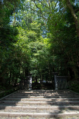 新緑の法然院（京都・日本）