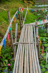 Bamboo walkway on the pond