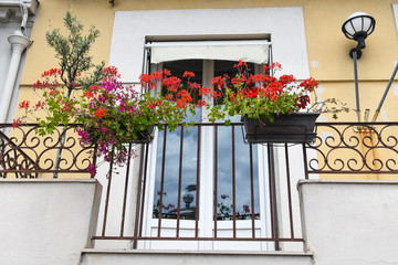 The Window