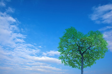 ハート型の木　さわやかな青空

