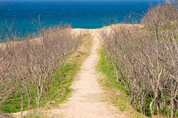 Sand dunes on desert on sunny day