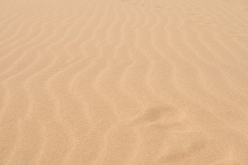 Close up sand desert texture pattern