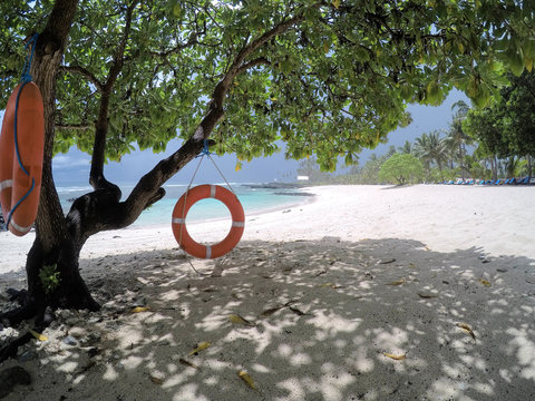 Life rings hanging on tree on beach on Upolu Island, Samoa, South Pacific