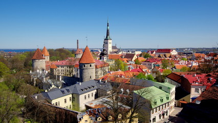 Fototapeta Tallin, zabytkowa stolica Estonii z piękną architekturą w kraju Unii Europejskiej znajdującym się w Europie Wschodniej obraz
