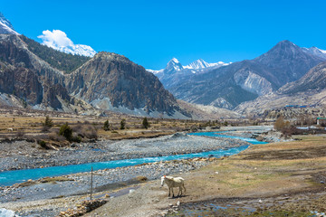 Fototapeta na wymiar Mountain landscape with Bagmati river, Nepal.