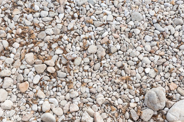 shore with stones