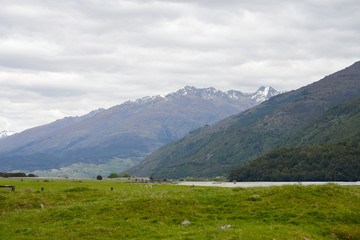 Fototapeta na wymiar Landscape of nature for meadows with mountains and sheep in New Zealand Southland