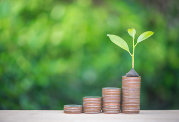 Plant growing up on the growing coin stack with nature background for financial growing concept