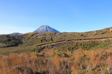 Fototapeta premium Mt Ngauruhoe, New Zealand