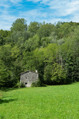 Fototapeta na wymiar Stone house in the meadow
