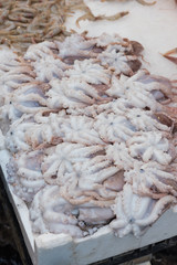 Fresh fish at the Naples market