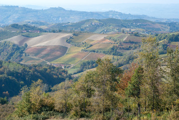 Rural landscape in Langhe, Piedmont, Italy