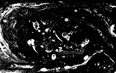 Black and white liquid texture. Hand drawn marbling illustration. Abstract vector background. Monochrome marble pattern.