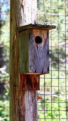 Photos taken while in the great outdoors 