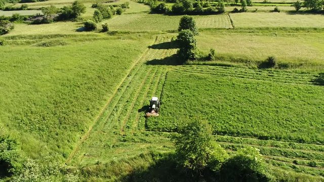 Tractor in a fields, agriculture. Aerial view with drone