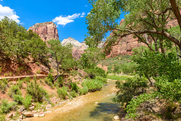 River in the Canyon of the Zion National Park - Travel destination for Outdoor in Utah, USA