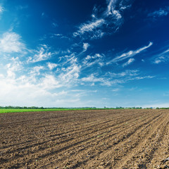 agriculture plowed field and blue sky with clouds in sunset