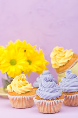Cupcakes decorated with yellow and violet cream and chrysanthemums on violet pastel background for greeting card with copyscape.