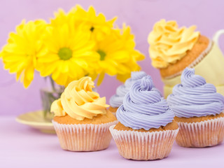 Cupcakes decorated with yellow and violet cream and chrysanthemums on violet pastel background for greeting card with copyscape.