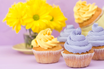 Cupcakes decorated with yellow and violet cream and chrysanthemums on violet pastel background for greeting card with copyscape.