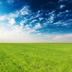 green grass agriculture field and blue sky in sunset