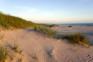 Fototapeta na wymiar Baltic sea beach in evening light.