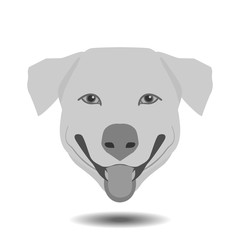 Dog head floating witn shadow on white background