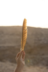 View of the sunset through the feather of a bird in the hand on the background of the Judean desert