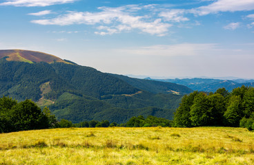 Fototapeta premium grassy meadow on top of a hill. beautiful summer landscape with high mountain in the distance
