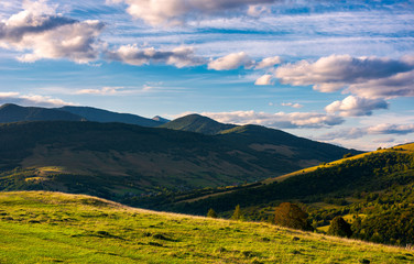 Obraz premium beautiful mountain landscape in afternoon. grassy meadow and forested hills of Carpathian mountains. Pikui mountain in the far distance. gorgeous blue sky with golden clouds