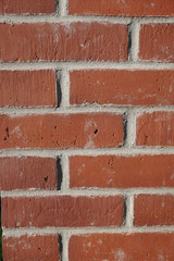 Fototapeta premium Backsteinwand Textur