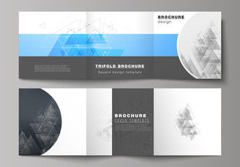 Fototapeta na wymiar The minimal vector layout. Modern covers design templates for trifold square brochure or flyer. Polygonal background with triangles, connecting dots and lines. Connection structure.