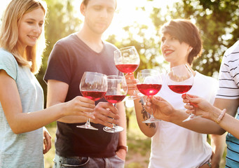 Young people with glasses of wine outdoors. Summer picnic