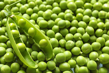 Fototapeta na wymiar Many fresh green peas as background, closeup