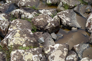 Giant's Causeway in Nordirland