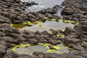 Giant's Causeway in Nordirland
