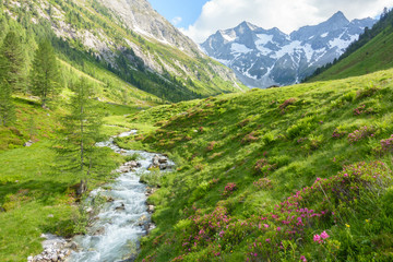 Fototapeta na wymiar Wildbach vom Gletscher in den österreichischen Bergen