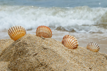 Encontradas en la orilla II
