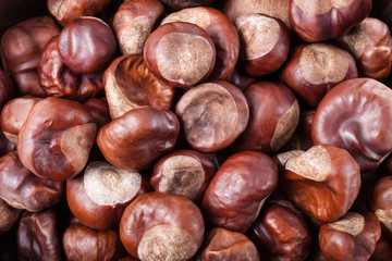 Lot of chestnuts for background