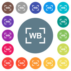 Camera white balance setting flat white icons on round color backgrounds