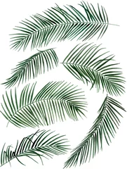Fototapeten Hand drawn watercolor palm leaves illustration © Nadezhda